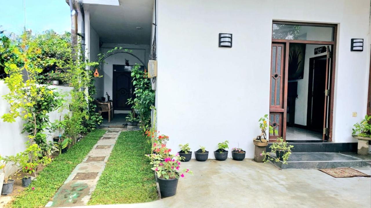 Aloe Vera Villa نيجومبو المظهر الخارجي الصورة