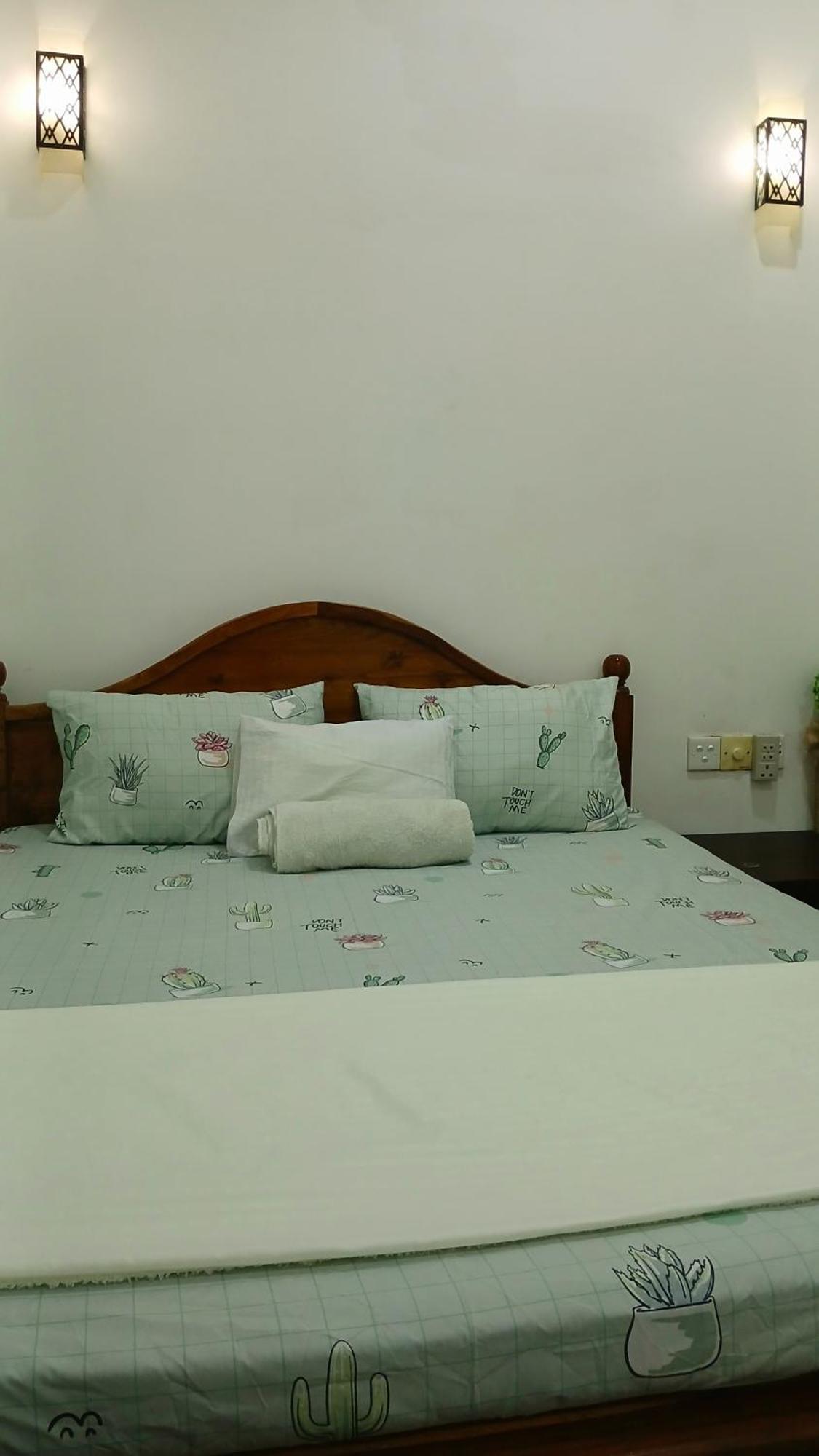 Aloe Vera Villa نيجومبو المظهر الخارجي الصورة