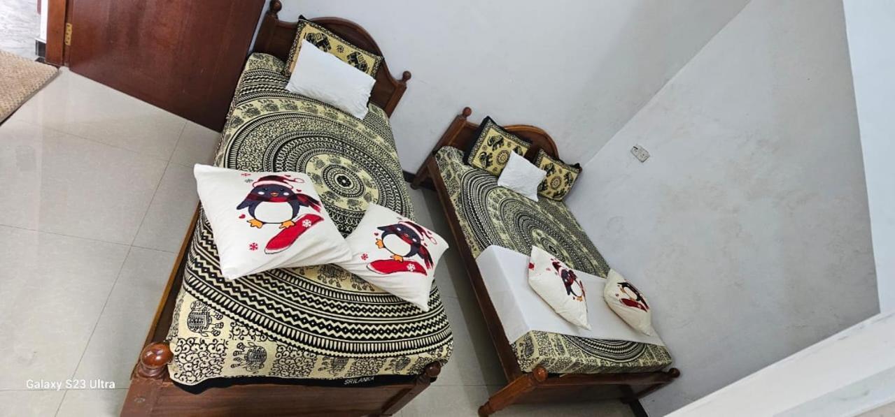 Aloe Vera Villa نيجومبو المظهر الخارجي الصورة
